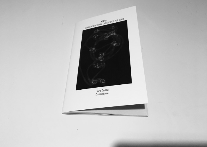 Xog'e Hipersticiones para los cuerpos por venir | Laura Castillo (Coord.)

Estas páginas contienen los microbios de una infestación hipersticional que podrá, según el uso que se le dé, reconstituir o arrasar los márgenes de los vacíos en los que habitamos. Si la forma de estos huecos se define por aquello que queda a su alrededor, los textos aquí reunidos trazan el vacío brutal que han dejado aquellas que desaparecen, que son silenciadas, borradas y violentadas por una narrativa oficial que solo sabe de dominio y capital.

Costo: $60.00 MXN