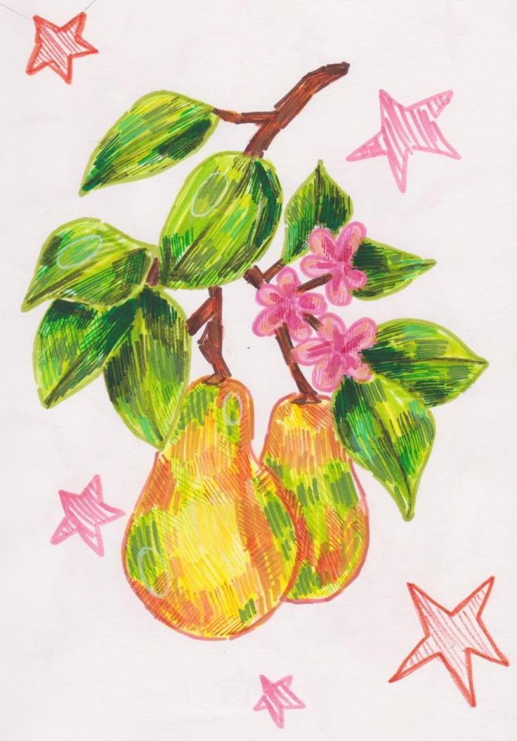 tiempo de guayabas pagina salmón